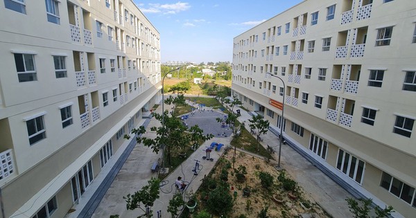 Mua nhà ở xã hội chưa đủ 5 năm đã cho thuê lại, chủ nhà có thể bị phạt đến 120 triệu đồng, thu hồi căn hộ