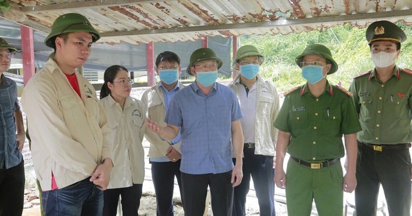 Tai nạn ở trại nuôi lợn làm 5 người chết: Phó Chủ tịch Thanh Hóa chỉ đạo 'nóng'