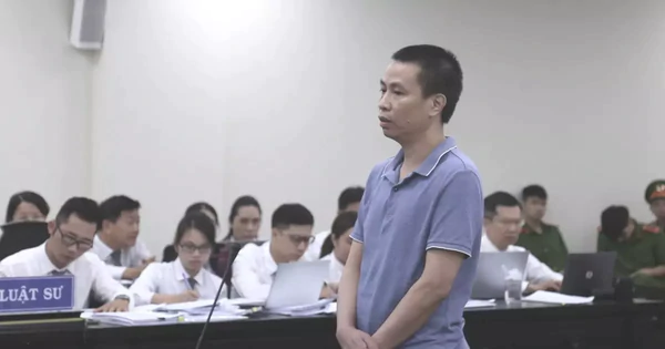 Vợ chồng giám đốc công ty sản xuất 13 triệu sản phẩm thực phẩm giả bị phạt hơn 38 năm tù