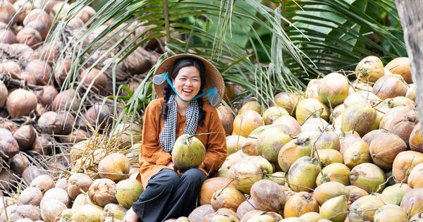 Bán dừa, nha đam, trái cây khắp thế giới, DN Việt thu hơn 8.200 tỷ đồng, lợi nhuận tăng 72% sau 6T2026