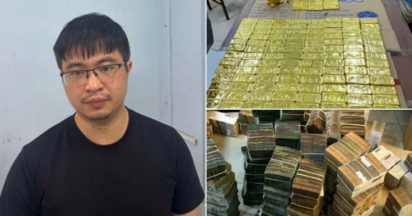 Con trai bị bắt, bố mẹ Mr Pips vội rút 145 tỷ đồng để tẩu tán
