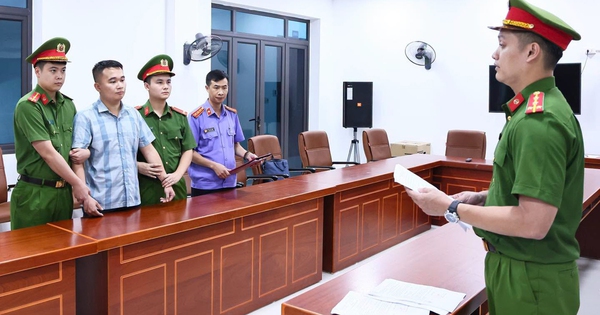 Vụ 146 điểm 10 môn Toán: Luật sư phân tích căn cứ giữ người khẩn cấp