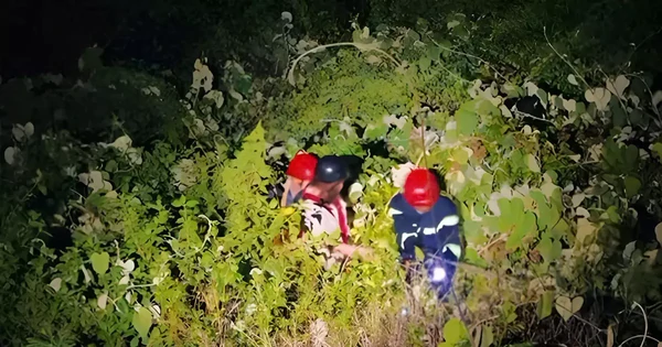 Cứu sống một sinh viên rơi xuống vực tại bán đảo Sơn Trà trong đêm