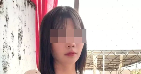 Nữ nhân viên thư viện ở Đắk Lắk mất liên lạc sau buổi liên hoan