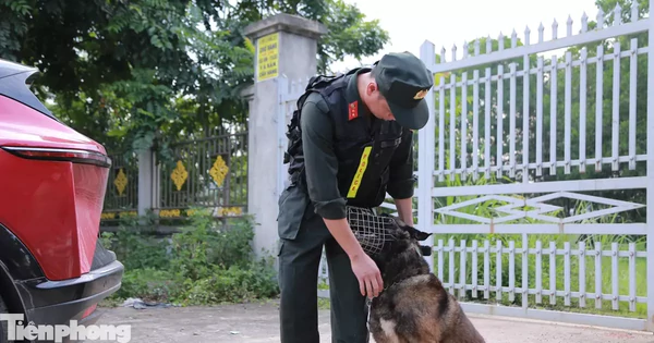 An ninh siết chặt, cảnh khuyển được huy động tại điểm thi lại ở Tuyên Quang