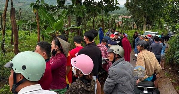 Vụ phát hiện thi thể nữ nhân viên thư viện: Nghi phạm là nam giáo viên thể dục