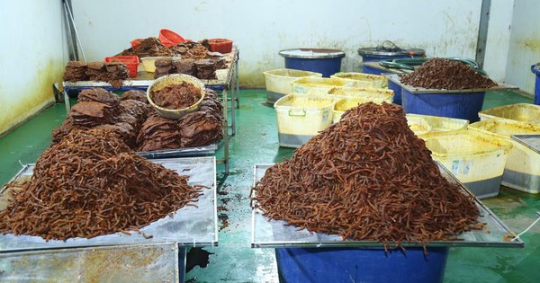 Đột kích "xưởng" "phù phép" 130 tấn thịt trâu Ấn Độ thành khô bò: Thu lời 21 tỷ, đem livestream rầm rộ trên TikTok Shop