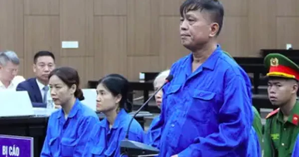 Nhận hối lộ 16 tỷ đồng, luật sư cho rằng cựu Thứ trưởng Nguyễn Bá Hoan phạm tội 'không vì tiền'
