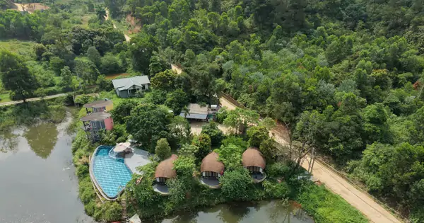 Yêu cầu kiểm tra, xác minh phản ánh villa, homestay mọc trong rừng phòng hộ Sóc Sơn