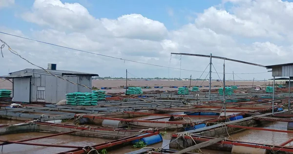 Hai cha con bị điện giật rơi xuống sông mất tích