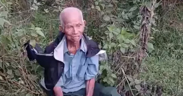 Sau nhiều ngày mất tích, cụ ông 83 tuổi được tìm thấy trong khu rừng cách nhà 40km
