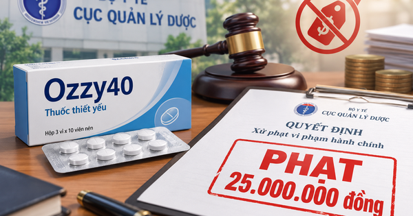 Kê khai sai giá thuốc, Công ty dược phẩm Đạt Vi Phú bị phạt 25 triệu đồng