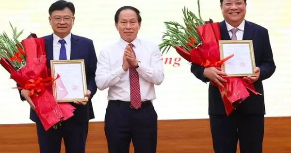 Thủ tướng bổ nhiệm hai Phó Tổng Thanh tra Chính phủ
