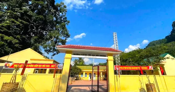 Bổ nhiệm hiệu trưởng gây xôn xao ở Nghệ An: Rà soát lại quy trình, hồ sơ cán bộ