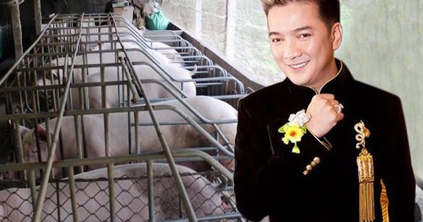 Mr. Đàm nói gì về việc giọng hát được phục vụ chăn nuôi heo?