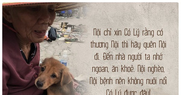 Bà lão trong bức ảnh ôm hôn tạm biệt ‘cậu Vàng’: ‘Tui sợ mình chết nên bán nó cho nhà giàu chăm, ai ngờ nửa đêm nó tìm về…’
