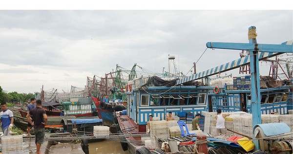 Quảng Ninh huy động 5 xe thiết giáp, Hà Nội ra công văn khẩn ứng phó bão số 4 tiến sát bờ