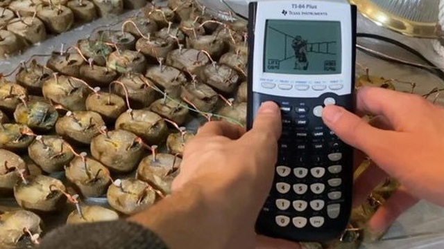 Clip: Dùng 45kg khoai tây để chơi game trên máy tính cầm tay