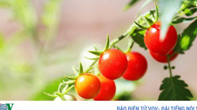 7 loại thực phẩm người bị vẩy nến cần tránh xa