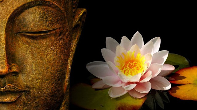 "Làm thế nào để hoa trong bình tươi lâu hơn?" - thiền sư giải thích đáp án, mang đến lợi ích trọn đời cho tất cả mọi người