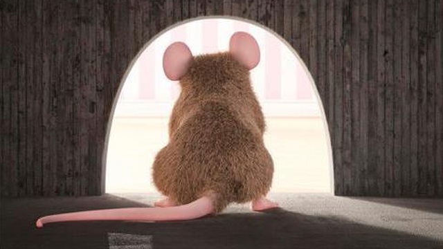 Mải miết tìm kiếm thứ vĩ đại nhất trên đời, chú chuột sửng sốt khi phát hiện ra kết quả: Ai cũng nên ngẫm!