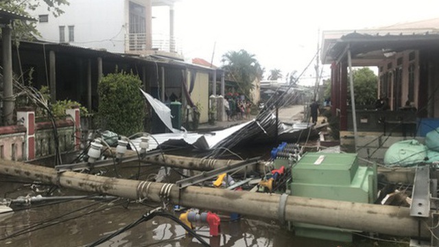 Hàng trăm cột điện gãy đổ trong bão số 5: Do cây xanh ngã đè