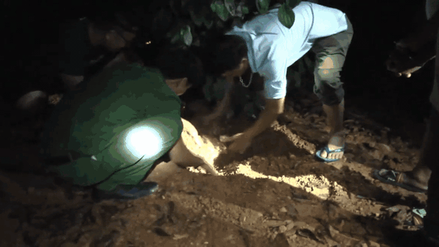Video trinh sát đào đất lấy lô ma túy trị giá 10 tỷ đồng của ông "trùm" ở xứ Nghệ
