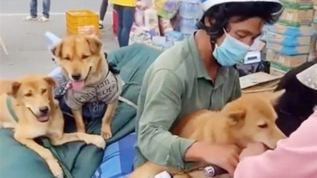 Vụ tiêu hủy đàn chó của cặp vợ chồng về Cà Mau: Đại diện Cục Thú y lên tiếng