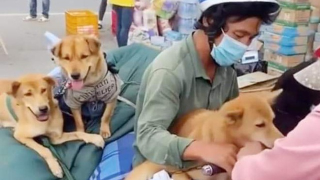 Áp lực dư luận vụ tiêu hủy 15 con chó, nữ Trưởng trạm y tế xã ở Cà Mau xin nghỉ việc