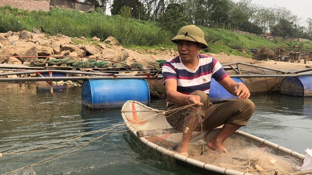 Phú Thọ: Cao thủ săn loài "sát thủ" cá râu dài da trơn tuột, ngạnh sắc nhọn trên Đà giang