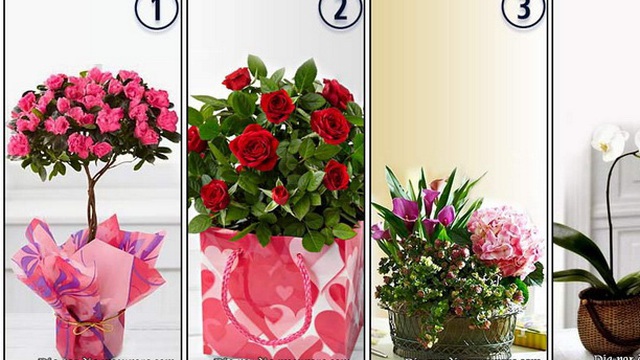 Hãy chọn một bó hoa muốn tặng bạn gái ngày 8/3 để hiểu "thông điệp ngầm" nóng bỏng bạn muốn trao tới nàng là gì