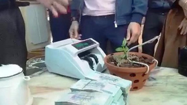 Ngành thuế vào cuộc thương vụ lan Hồng Bồng Lai giá hơn 1,6 tỷ đồng