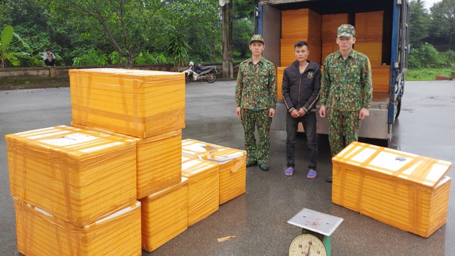 Quảng Ninh bắt giữ hơn 500kg cá tầm Trung Quốc nhập lậu