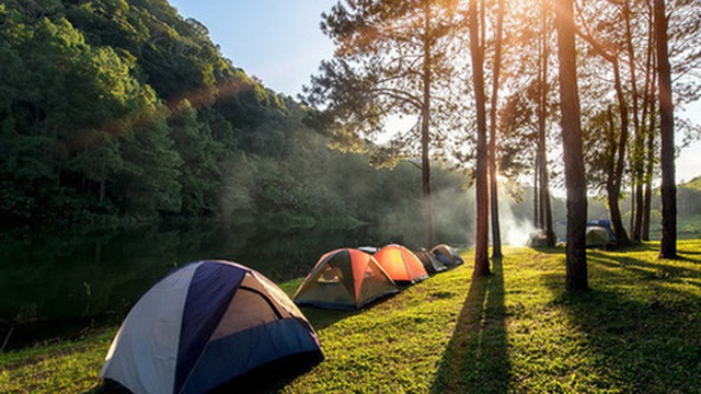 Đi camping hay du lịch nhất định phải thuộc lòng những kỹ năng sơ cứu này