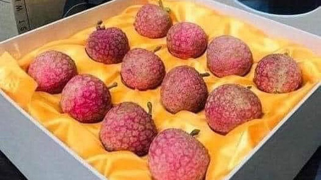 Siêu phẩm vải thiều Lục Ngạn Việt Nam: Đóng gói như tổ yến, 1 triệu đồng mới mua được 1 hộp 12 quả tại Nhật