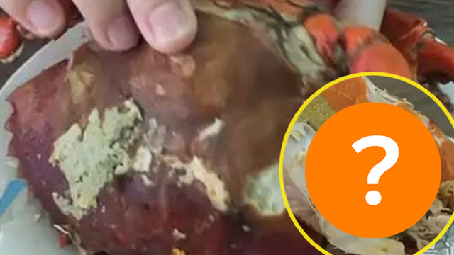 Vun vén cả tháng lương mới dám mua con cua 2 triệu, anh chàng hồi hộp cắt ra và cái kết nín thở