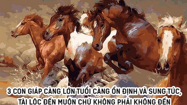 3 con giáp khổ trước sướng sau, càng lớn tuổi càng ổn định và sung túc, tài lộc đến muộn chứ không phải không đến
