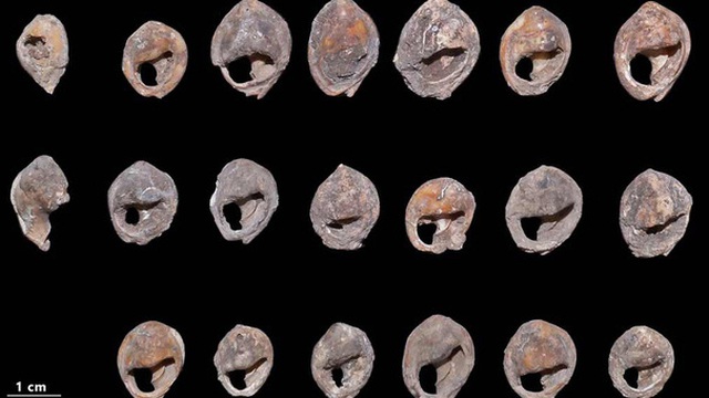 Choáng váng kho trang sức cổ xưa nhất thế giới: 150.000 tuổi