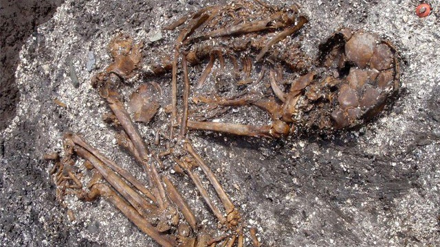 Bộ xương cổ đại tiết lộ tổ tiên chưa từng được biết đến của người Nhật trước đây