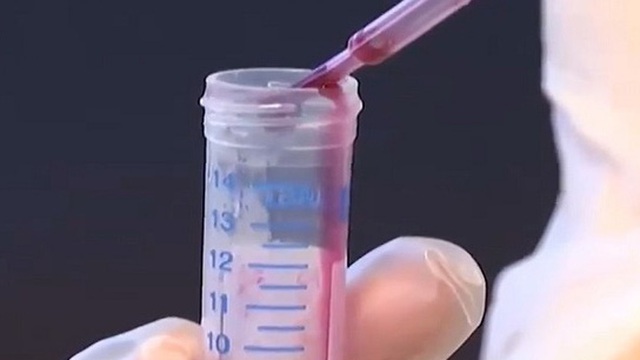 Máu giả chứa chất độc có thể thu hút và tiêu diệt muỗi