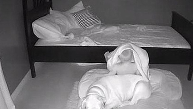 Sáng nào cũng thấy con trai ngủ ở ổ chó, bố mẹ đặt camera thì phát hiện sự thật ngã ngửa