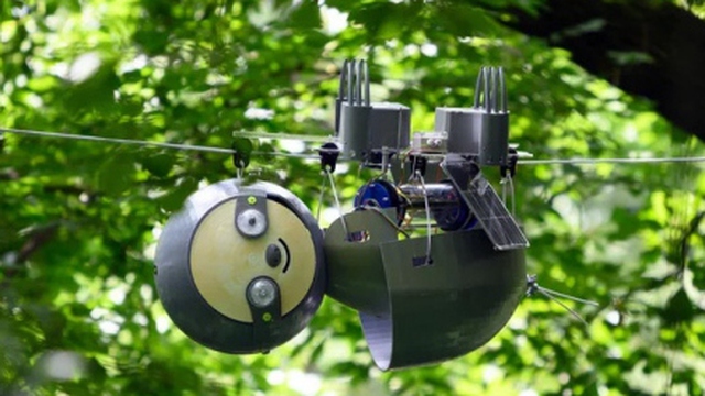 Robot “con lười” rất chậm chạp nhưng lại giúp bảo tồn hệ sinh thái