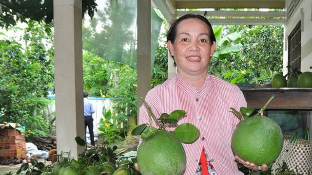 Nông sản Việt rộng đường xuất ngoại