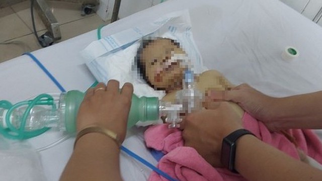 Bé gái sơ sinh bị bỏ rơi giữa rừng ở Quảng Nam đã không qua khỏi