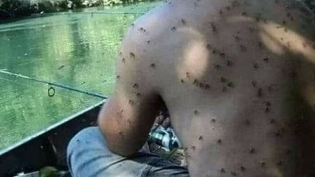 Đứng ngồi không yên với những bức ảnh vừa khó hiểu vừa gây khó chịu