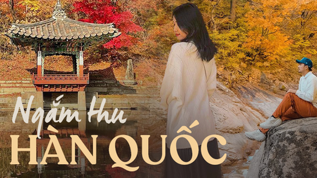 6 địa điểm tận hưởng mùa thu, ngắm lá vàng rơi lãng mạn ở Hàn Quốc