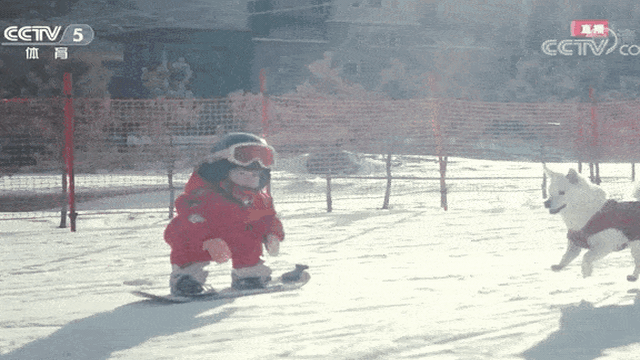 Cô bé 11 tháng tuổi trượt tuyết cùng cún cưng tại lễ khai mạc Olympic: Bé còn chưa biết đi