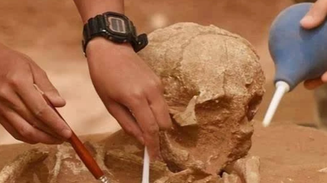 Phát hiện hộp sọ nam giới trong mộ cháu gái Võ Tắc Thiên: Kẻ này đến từ hơn 200 năm sau