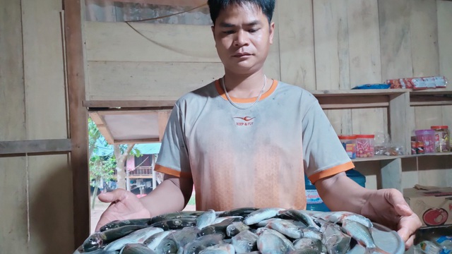 Xuyên đêm săn cá mát - đặc sản độc nhất vô nhị ở vùng cao tỉnh Quảng Trị