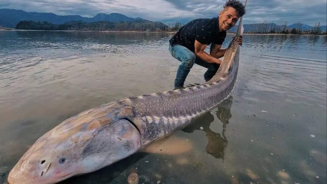 Người đàn ông bắt được 'khủng long sống' khổng lồ trên sông Canada